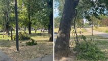 Nevreme u Beogradu