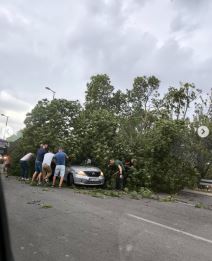 Nevreme u Beogradu.jpg