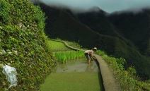 Pirinčane terase na Filipinima (3).jpg