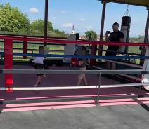 Sin Veljka Ražnatovića (5).jpg