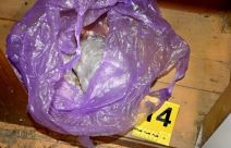 zaplena droge (3).jpg