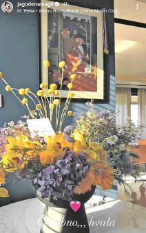 Penthaus Jelisavete Orašanin (5).jpg