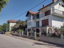 Aleksa Milojević (3).jpg