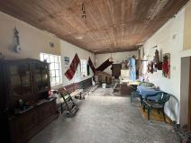 Gordana Petrović nasledila vodenicu (4).jpg