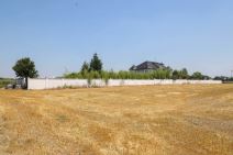 ubistvo kod Stare Pazove (3).jpg