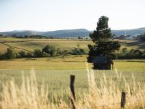 sjenica_priroda_matija_popovic (56).jpg