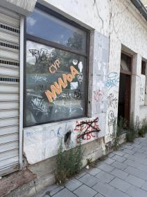 Predrag Živković Tozovac kuća  (3).jpg