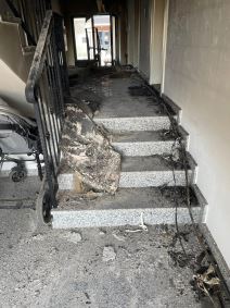 požar u Surčinu (4).jpg