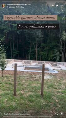 Elena Karaman povrtnjak