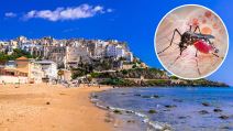 Plaža u regionu Lacio u Italiji i komarac na koži