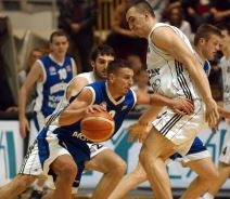 Nenad Mijatović (9).jpg