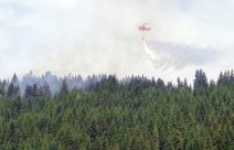 Požari u Srbiji (4).jpg