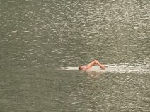 Stari savski most uklanjanje (4).jpg