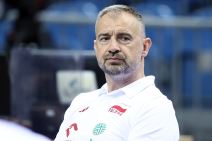 Nikola Grbić, selektor Poljske