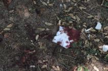 napad na tinejdžera (5).jpg