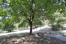 napad na tinejdžera (6).jpg