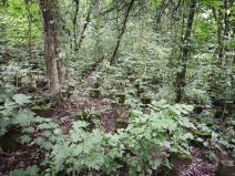Stadion Edmund Šič u Poznanju 17.jpg
