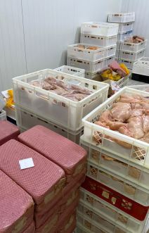 zaplena mesa zaraženog bakterijom (2).jpg