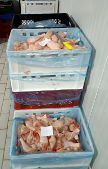 zaplena mesa zaraženog bakterijom (4).jpg