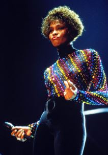 Vitni Hjuston (1).jpg