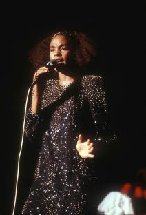 Vitni Hjuston (6).jpg