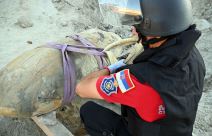 uklonjena avio bomba sa granilišta na Beogradu na vodi (2).jpg