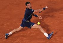 Damir Džumhur (4).jpg