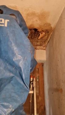 Leglo Stršljenova 3.jpg