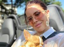 Adaktari nekad i sad (3).jpg