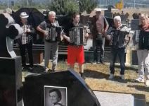 Novica Negovanović grob