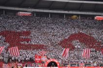 Delije na meču Crvene zvezde i Leha.