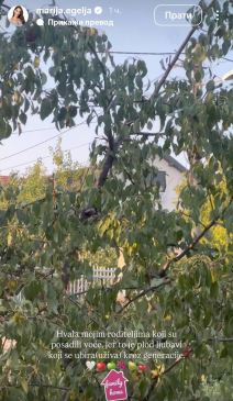 Marija Egelja imanje (2).jpg