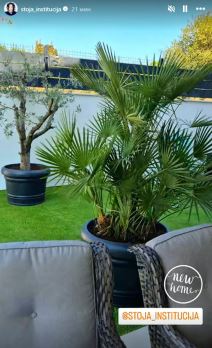 Stoja dvorište (6).jpg