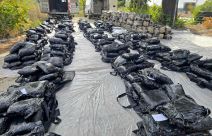 Zaplena marihuane (2).jpg