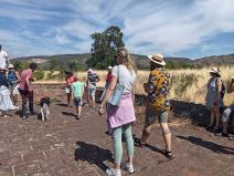 Rimsko nalazište Dijana, Darko Perić  (2).jpg