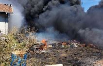 Požar Novi Sad 3.jpg