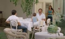 Varljivo leto (3).jpg