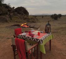 Nikola Milutinov (3).jpg