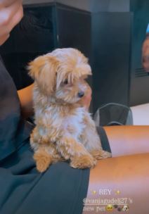 Anastasija Ražnatović