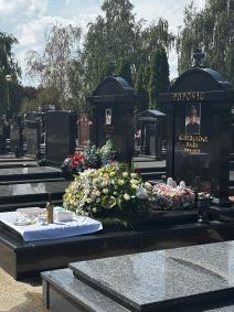 Šestomesečni pomen Saši Popoviću (4) copy.jpg