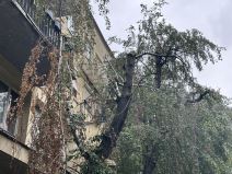 Jako olujno nevreme napravilo haos u Čačku (4).jpg