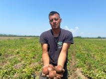 Krompir, Dejan Vučković