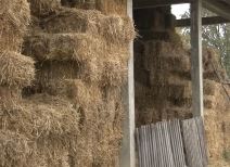 Dragan se greje na biomasu za 20 evra mesečno (2).jpg