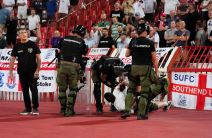 hapšenje navijača na Srbija - Engleska