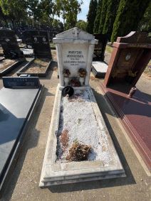 Ovako danas izgleda grobnica Slađane Milošević (2).jpg