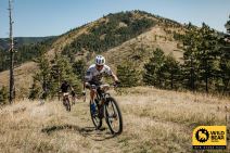 Wild bear-Photo-ShadowHunter (208 of 737)-2.jpg