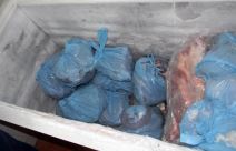 otkrivena nelegalna klanica u Ratkovu (3).jpg