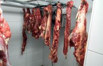 otkrivena nelegalna klanica u Ratkovu (4).jpg