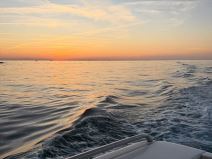 Viktor Živojinović