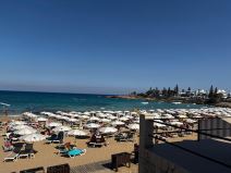 Fig tree plaza na Kipru (4).jpg